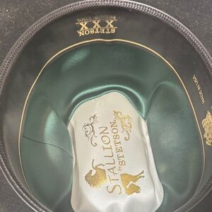 Stetson Stallion Black and Gold Hat